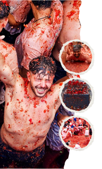 La Tomatina — Pack veraniego de festivales